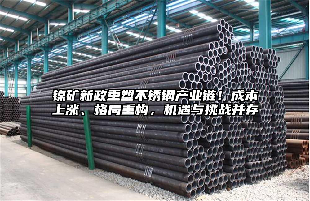 镍矿新政重塑不锈钢产业链！成本上涨、格局重构，机遇与挑战并存